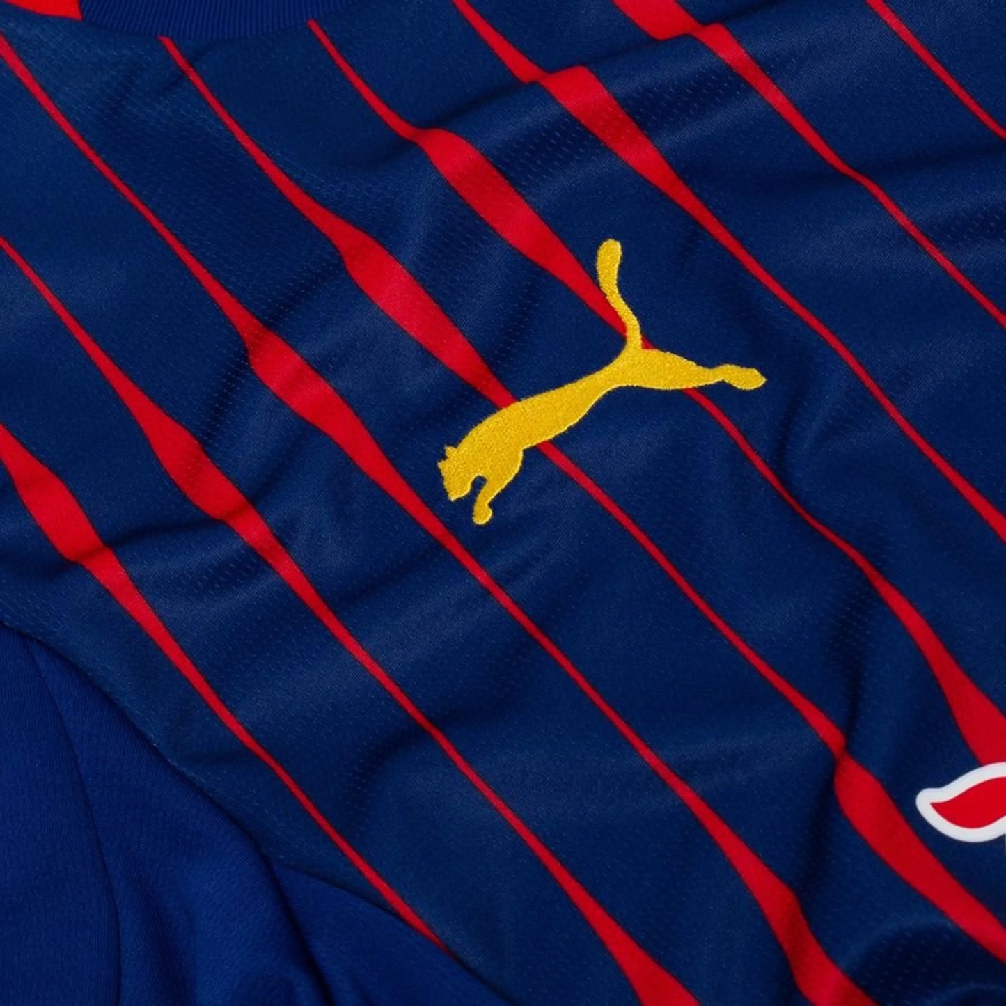 Camisola RB Leipzig Alternativa 2025/26- Versão Adepto