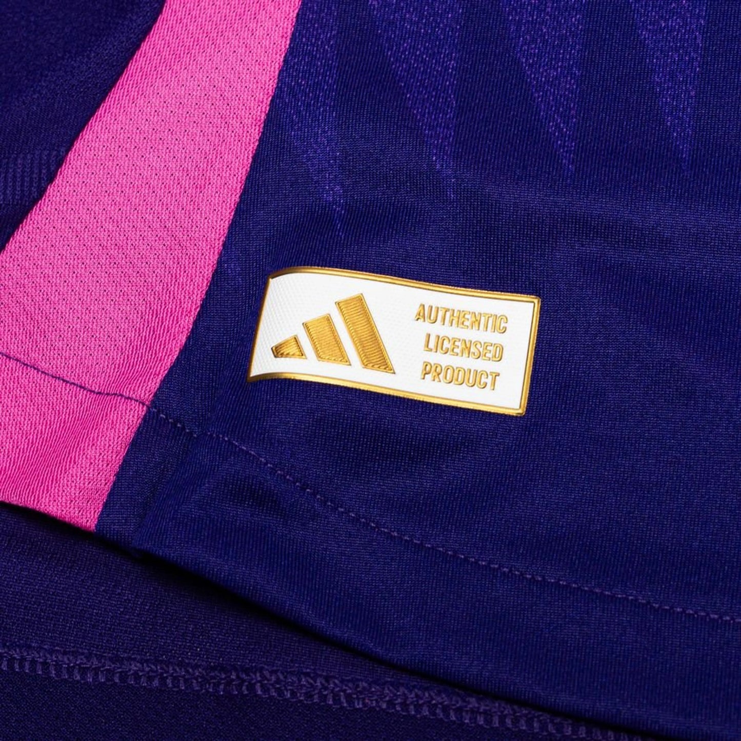 Camisola Alemanha Alternativa 2024/25 – Versão Jogador