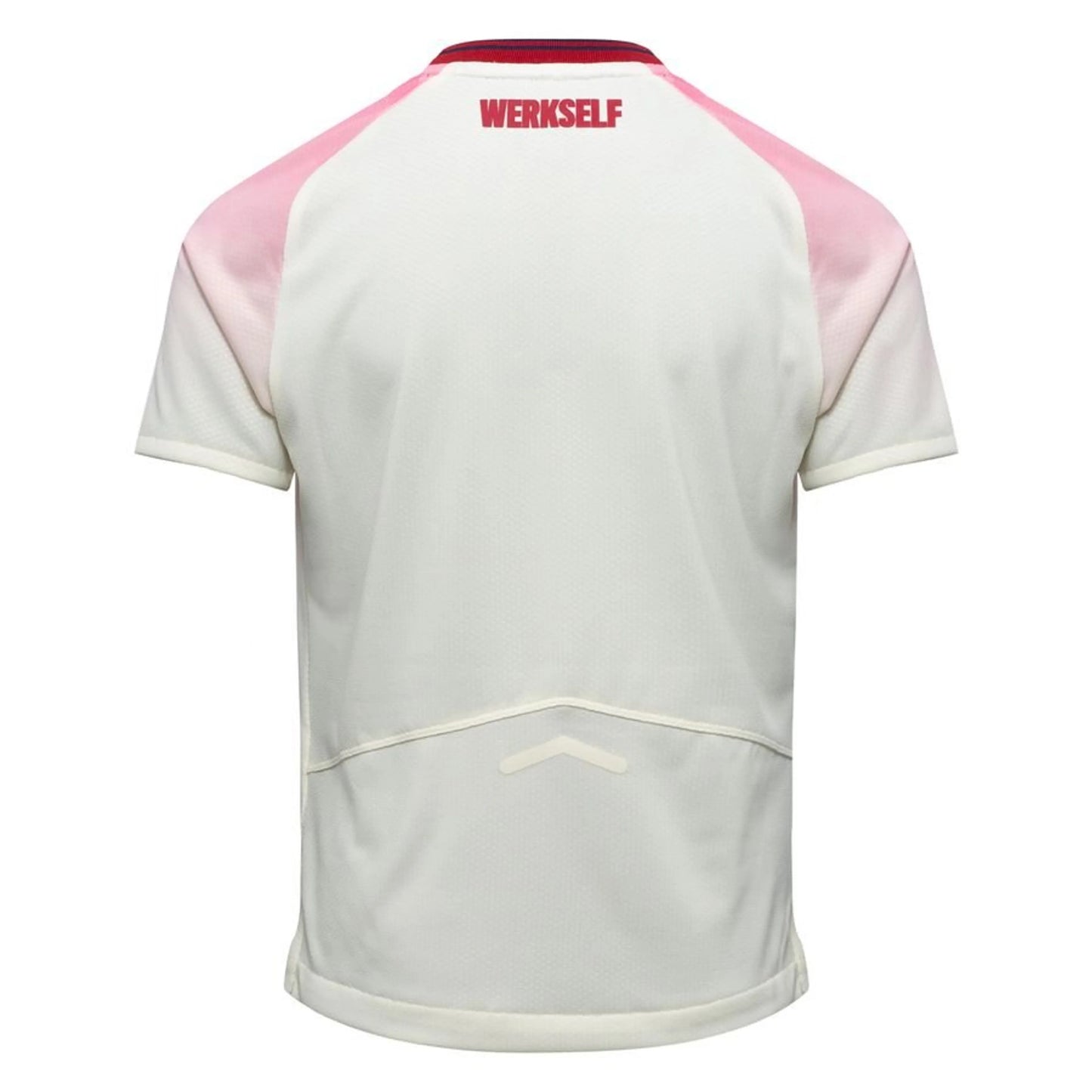 Camisola Bayer Leverkusen Alternativa 2025/26 - Versão Adepto