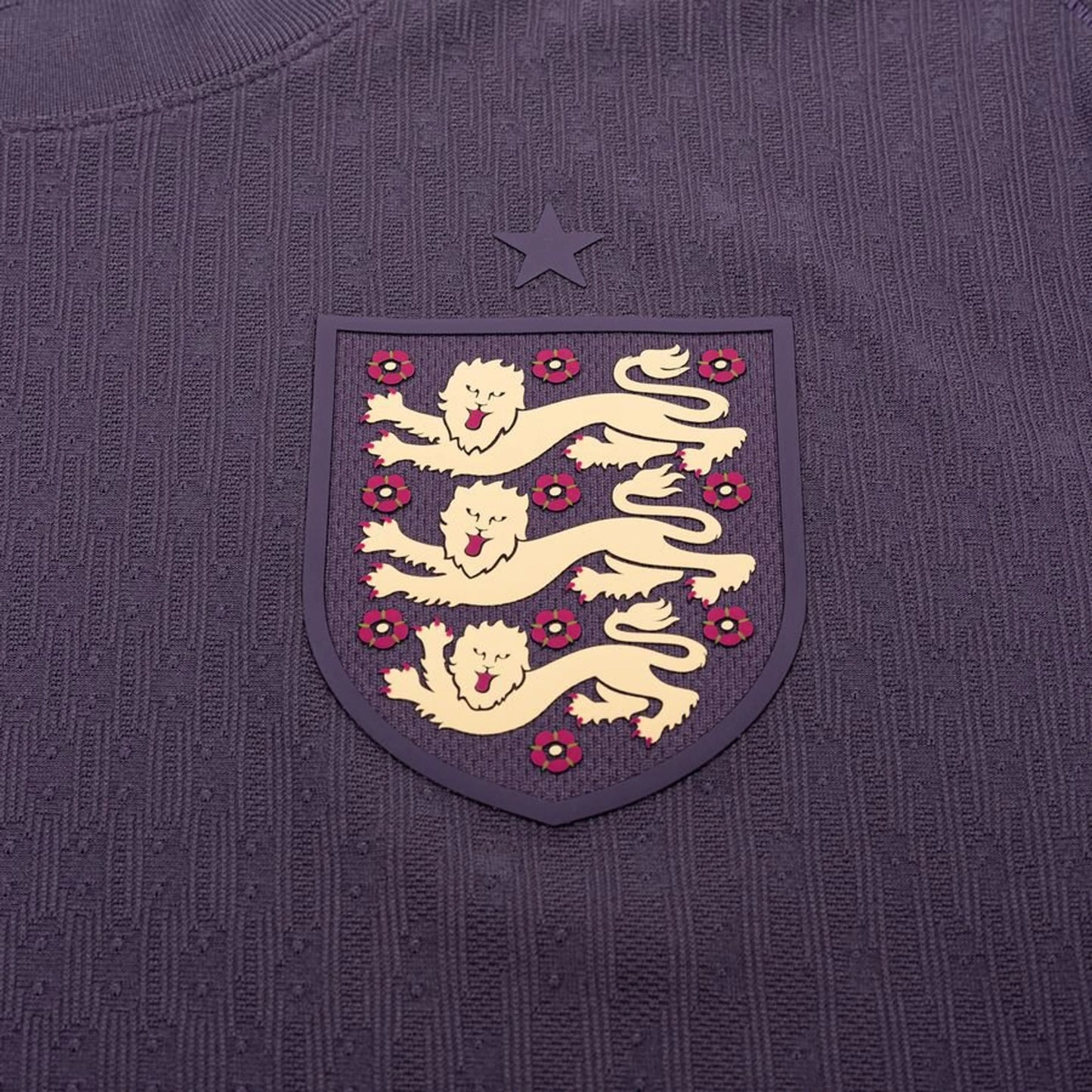 Inglaterra Alternativa 2024/25 – Versão Jogador