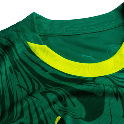 Camisola Senegal Alternativa Taça das Nações Africanas 2025 - Versão Adepto