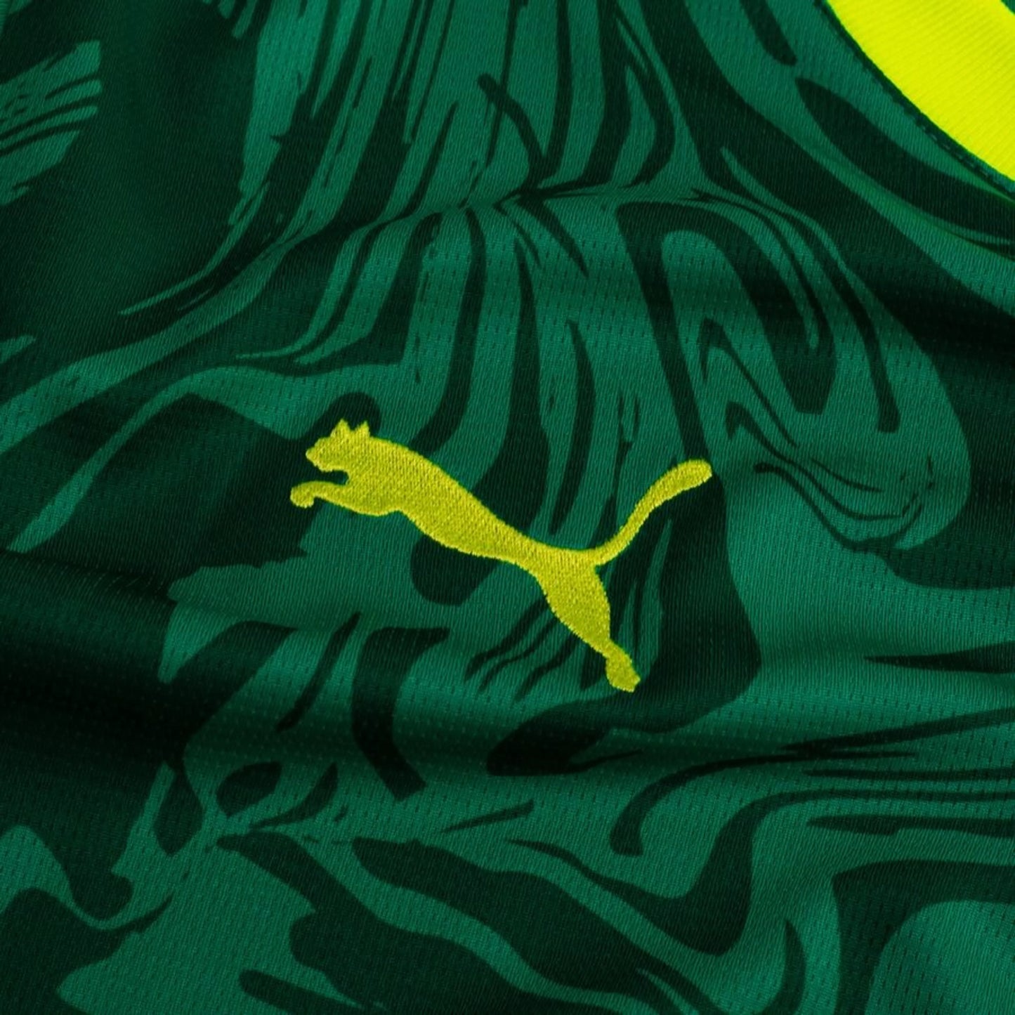 Camisola Senegal Alternativa Taça das Nações Africanas 2025 - Versão Adepto