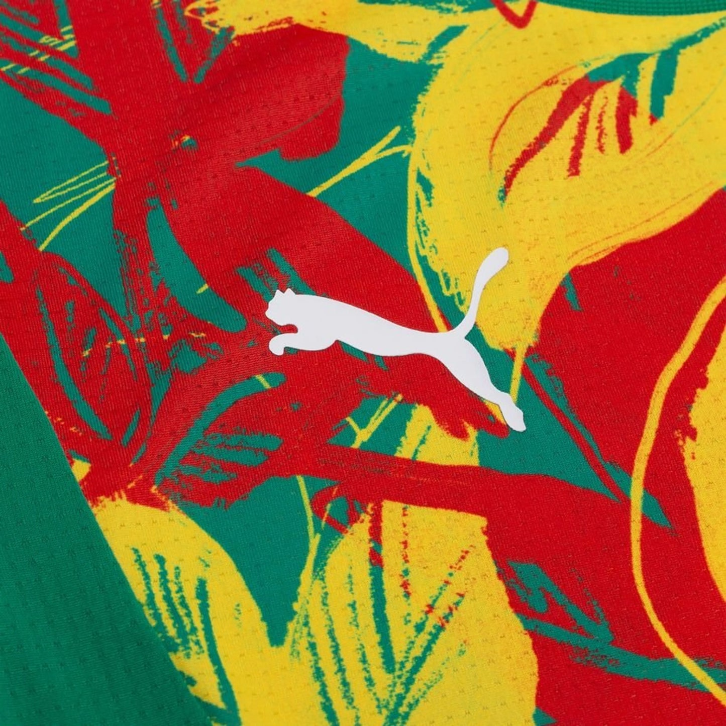 Camisola Treino Pré-Jogo Senegal Taça das Nações Africanas 2025 – Verde/Amarelo/Verde - Versão Adepto