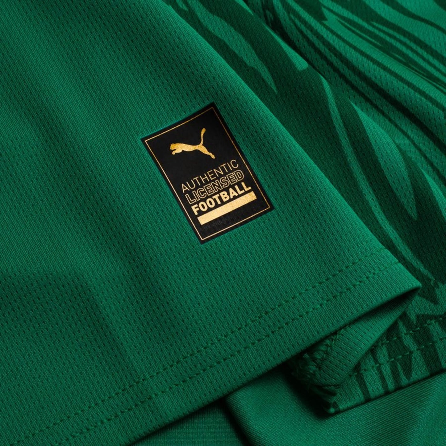 Camisola Senegal Alternativa Taça das Nações Africanas 2025 - Versão Adepto