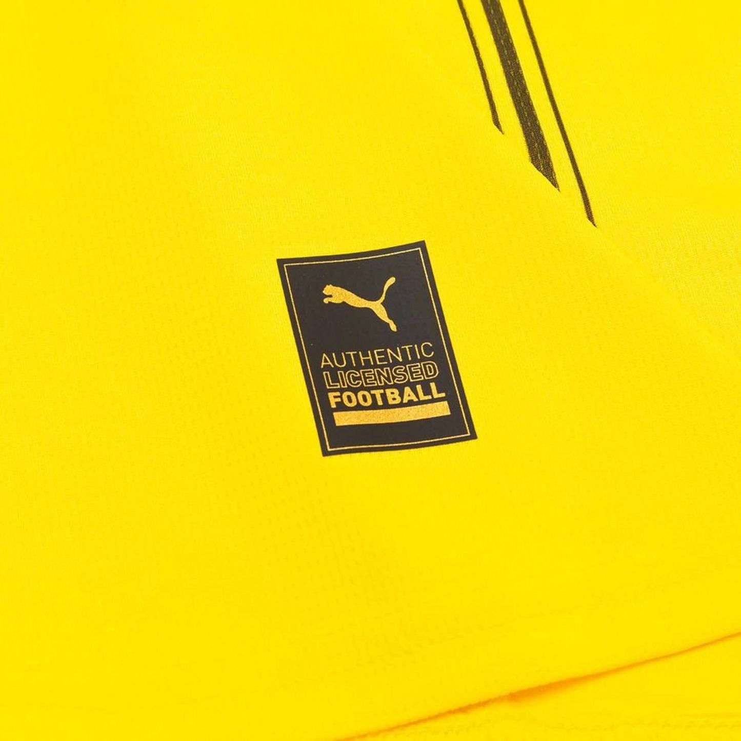 Camisola Borussia Dortmund Principal 2024/25 - Versão Adepto